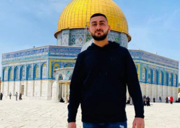 صبحي غندور: نهج المقاومة هو الحل