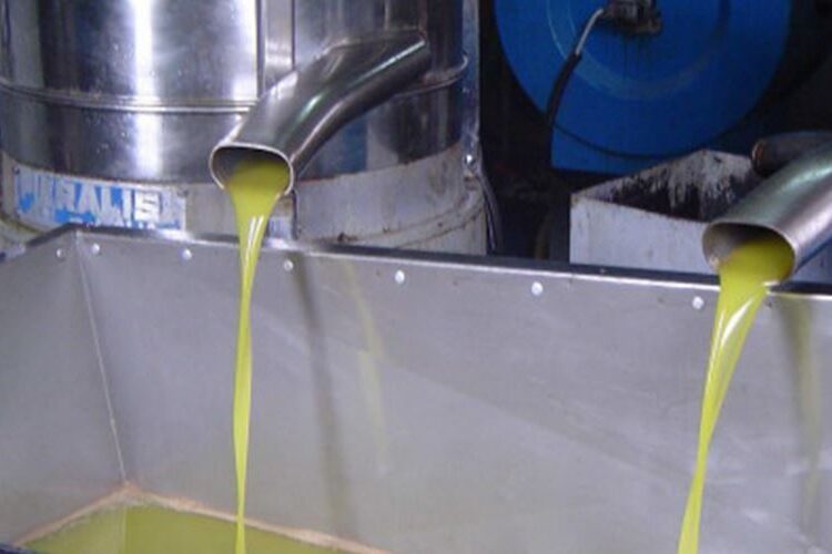 سورية.. خبيران: أقل من 20% إنتاج زيت الزيتون في معاصر ريف حماه الشرقي