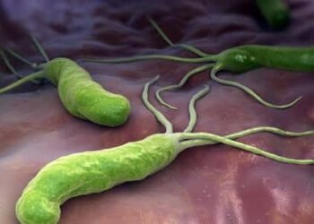 اعراض جرثومة المعدة الحلزونية وكيفية علاجها