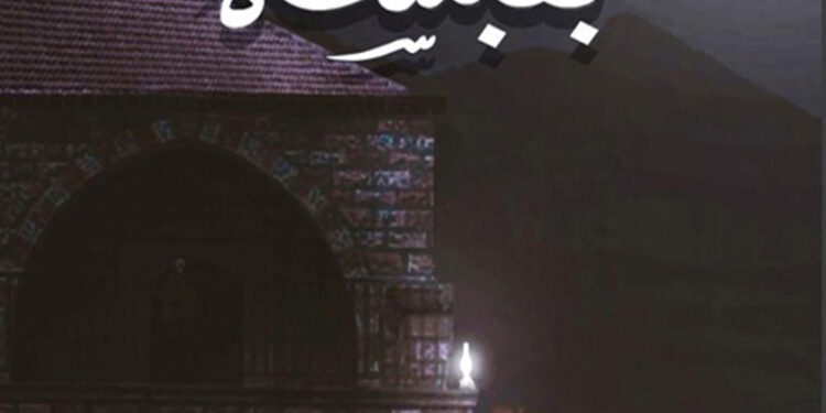 رواية “بقبشة” للفنان صقر البعيني