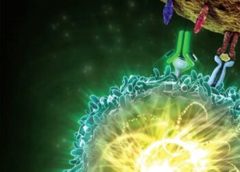 محاربة السرطان بـ«نيران صديقة»