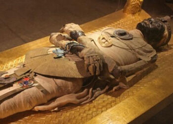 عندما بصقت في وجه فرعون