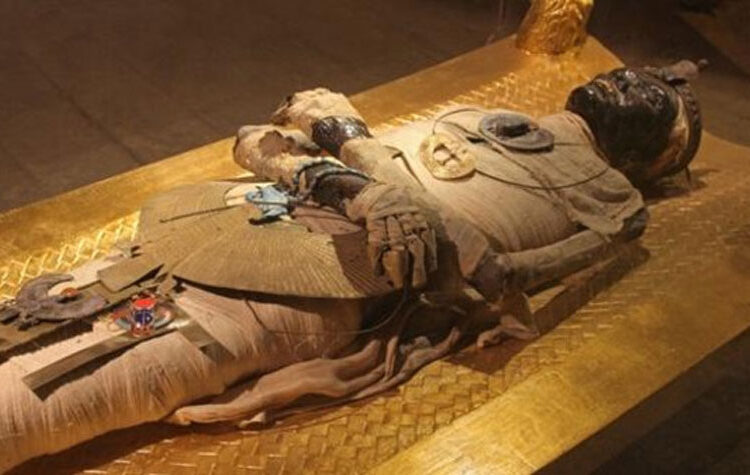 عندما بصقت في وجه فرعون