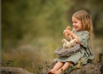 نواة التربية