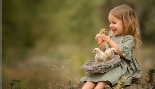 نواة التربية