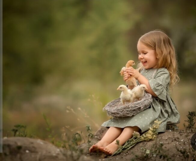 نواة التربية