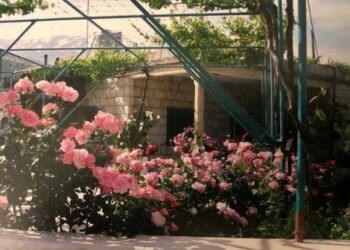 بيت الورد المُضاء*