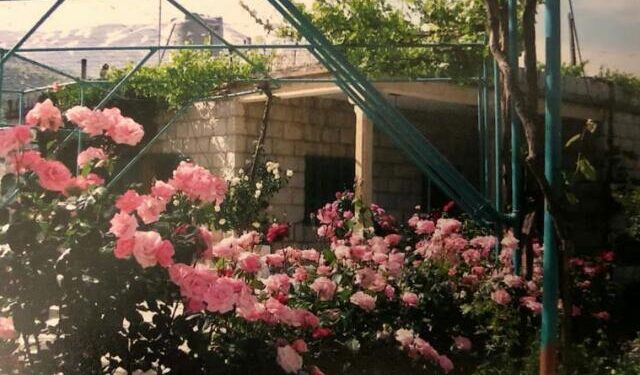 بيت الورد المُضاء*