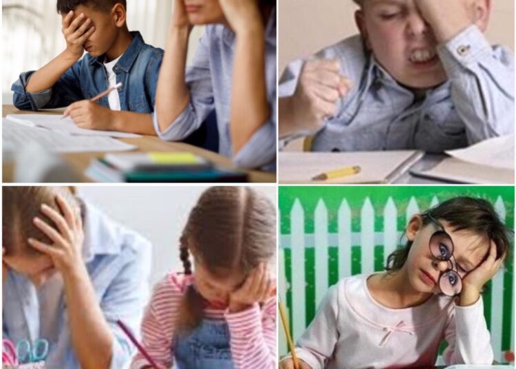 المفكرة المدرسية اللئيمة