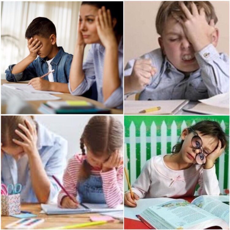 المفكرة المدرسية اللئيمة