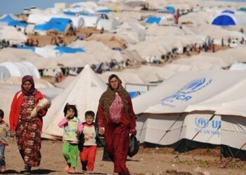 وجهة نظر حرة في النزوح السوري