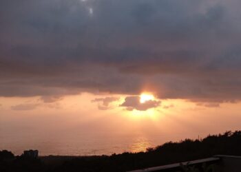 عنقود الأمل