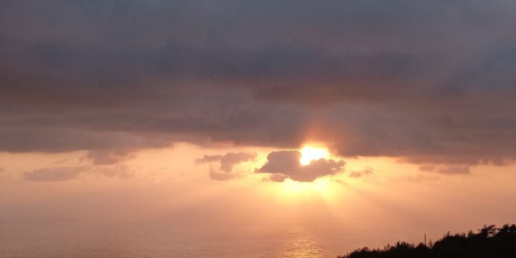 عنقود الأمل