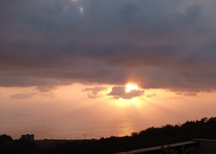 عنقود الأمل