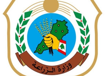 وزارة الزراعة: تسلم طلبات القمح مستمر حتى 10 آب