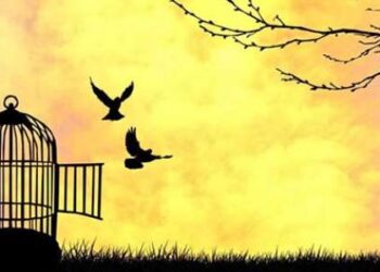 قضيّة الحرية