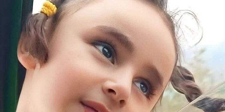 نصّار ختمت تحقيقاتها في اغتصاب الطفلة لين طالب