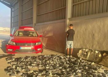 #لبنان.. إحباط محاولة تهريب كمية من حشيشة الكيف عبر مرفأ طرابلس