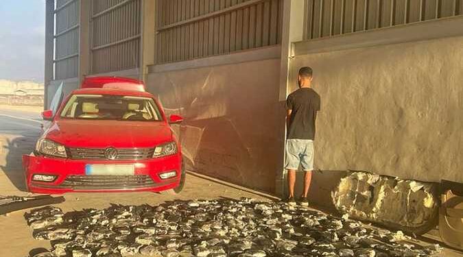 #لبنان.. إحباط محاولة تهريب كمية من حشيشة الكيف عبر مرفأ طرابلس