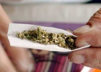 إحباط محاولة تهريب حشيشة في طرابلس