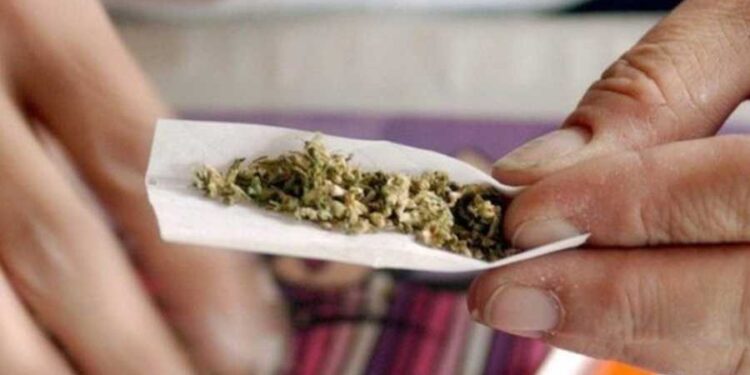 إحباط محاولة تهريب حشيشة في طرابلس