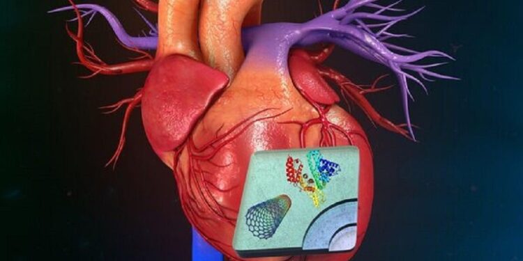 اكتشاف اتجاه جديد في علاج أمراض القلب