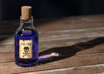 في عاليه.. كيف قتلت زوجها؟ وماذا فعلت بجثته؟