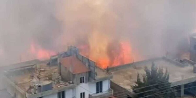 #لبنان.. حريق كارثي في عكار… والنيران تصل إلى المنازل!