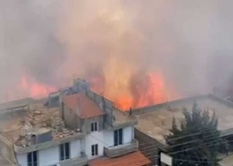 #لبنان.. حريق كارثي في عكار… والنيران تصل إلى المنازل!