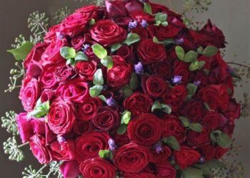 الشفاء العاجل للحبيب ريدان الحلبي..