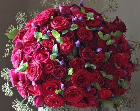 الشفاء العاجل للحبيب ريدان الحلبي..