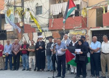 عبد فقيه يشيد بانتصار غزة