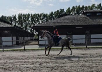 فارسة سعودية تحوز ذهب القدرة والتحمل