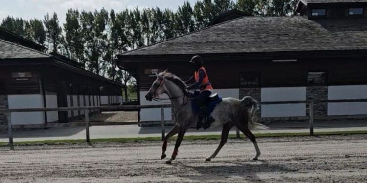 فارسة سعودية تحوز ذهب القدرة والتحمل