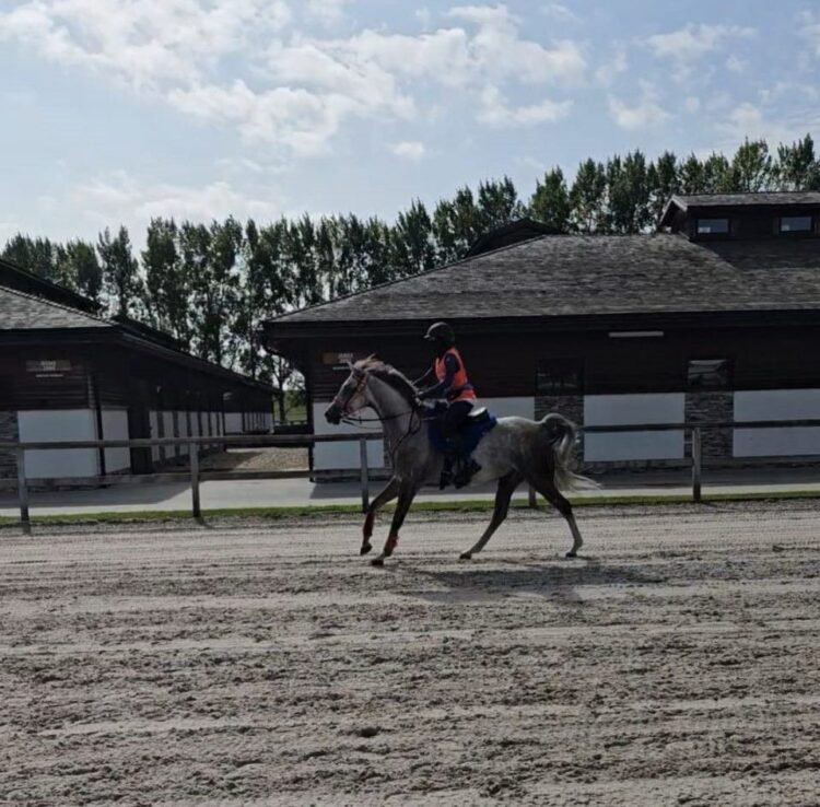 فارسة سعودية تحوز ذهب القدرة والتحمل