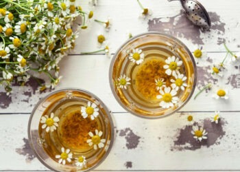 صيدلية حرمون.. البابونج