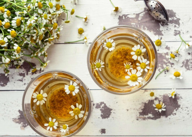 صيدلية حرمون.. البابونج