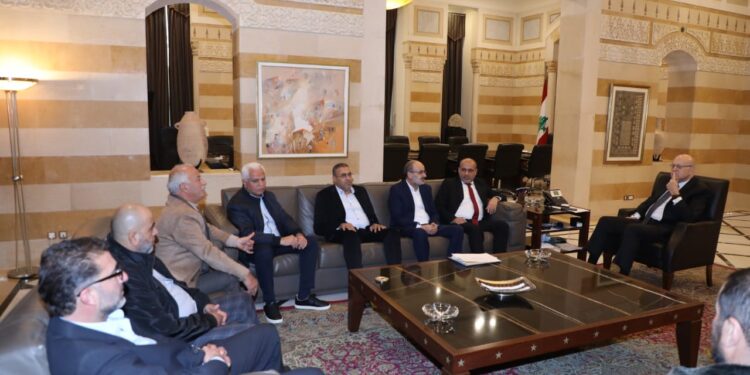 ميقاتي وعد بمتابعة غلاء تعرفة الكهرباء