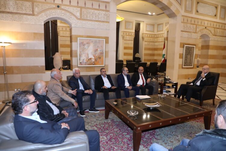 ميقاتي وعد بمتابعة غلاء تعرفة الكهرباء