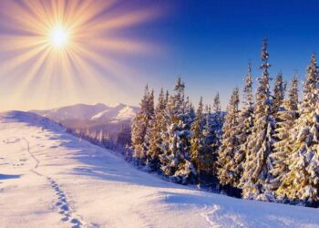 طقس مستقر وارتفاع في درجات الحرارة!