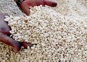 #لبنان_ ضبط ملايين حبوب الكبتاغون داخل آليات صناعية في تعنايل