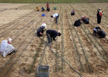 فلسطينيون يتحدون إرهاب الاحتلال