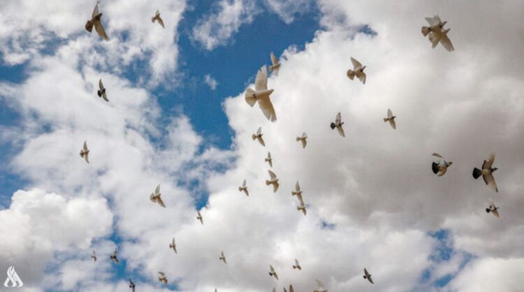 #منوعات_من جديد انفلونزا الطيور تهدد السياحة في اوروبا