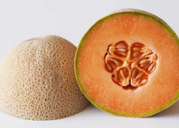 سالمونيللا في فاكهة الشمام: رصد 302 حالة في 42 ولاية أميركية ووفاة 4 أشخاص