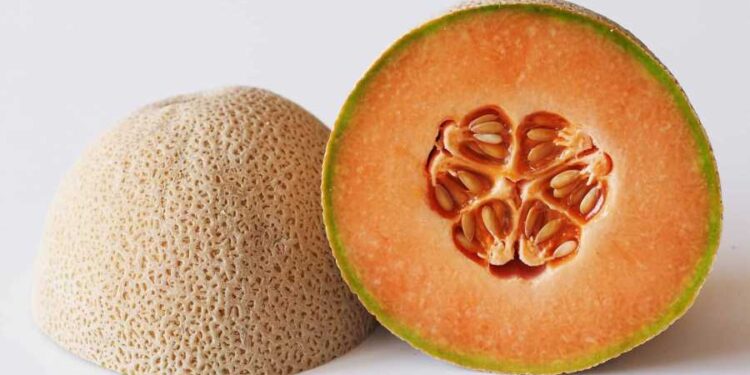 سالمونيللا في فاكهة الشمام: رصد 302 حالة في 42 ولاية أميركية ووفاة 4 أشخاص