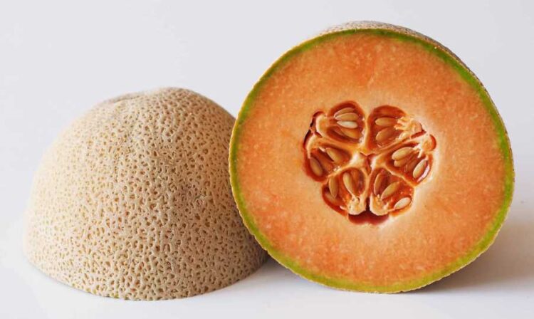 سالمونيللا في فاكهة الشمام: رصد 302 حالة في 42 ولاية أميركية ووفاة 4 أشخاص