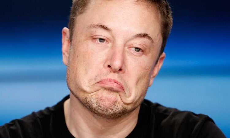 نصيحة روسية لإيلون ماسك.. “لا تفوت فرصتك”