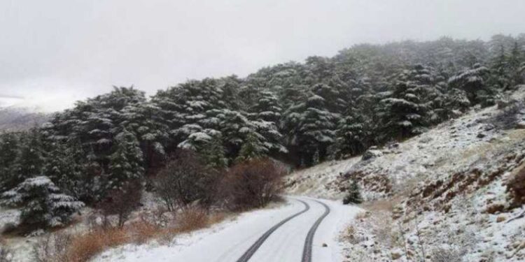 هل تتساقط الثلوج؟