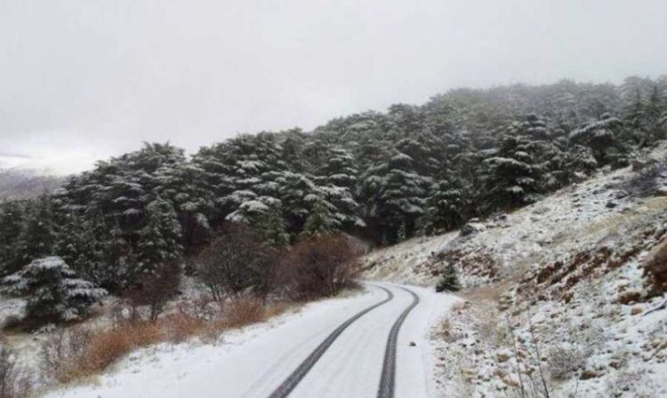 هل تتساقط الثلوج؟