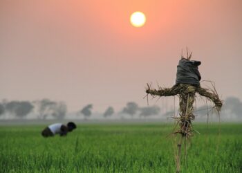 الحقيقة التّائهة.. حلقة اولى